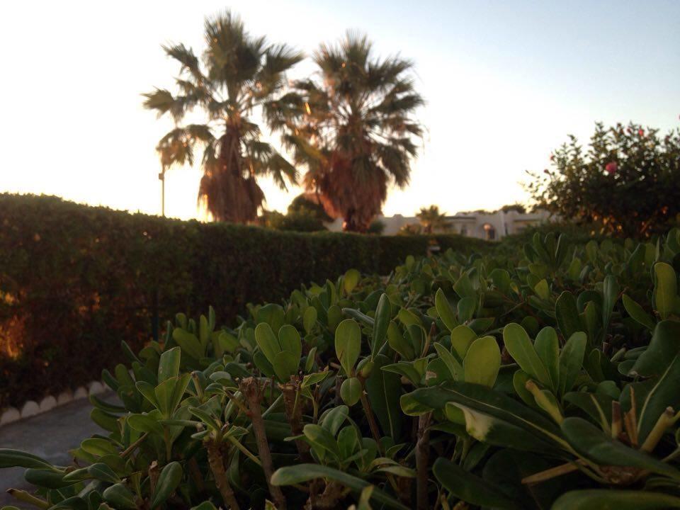 Complexe Touristique Sidi Salem Hotel Bizerte Kültér fotó